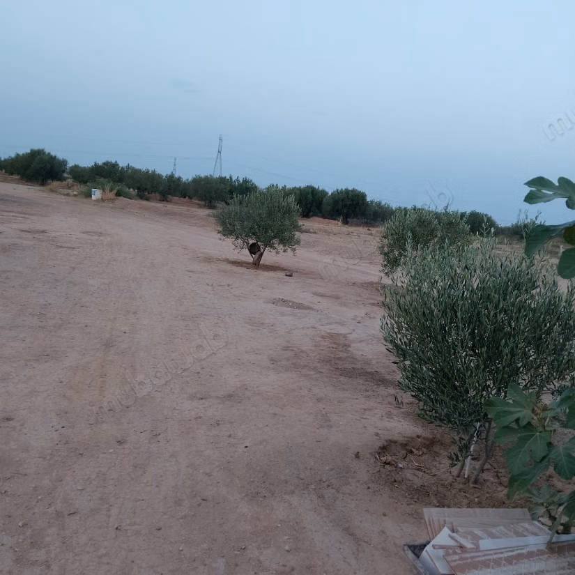 Casa con un grande giardino di 1700m2 a Kalaa Sghira