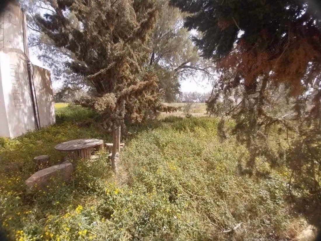  A zaghouan seminja: opportunité rare – ferme avec maison coloniale sur 18 000 m²
