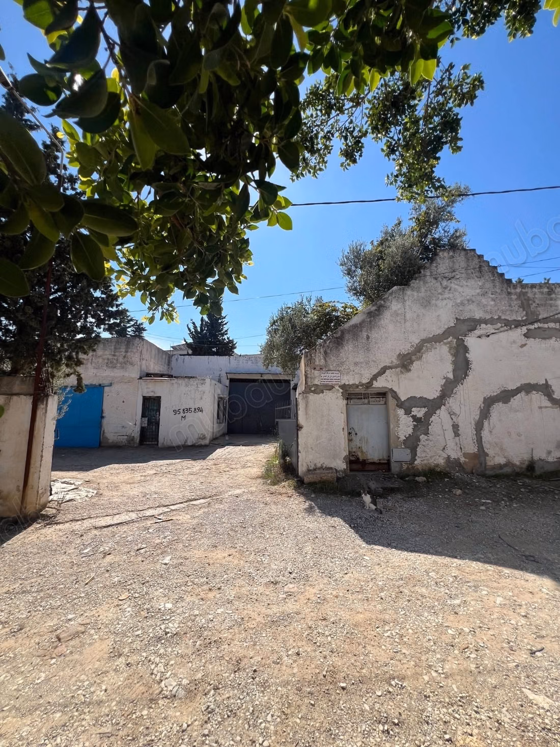 À VENDRE Propriété 2000 m' Mnihla ariana