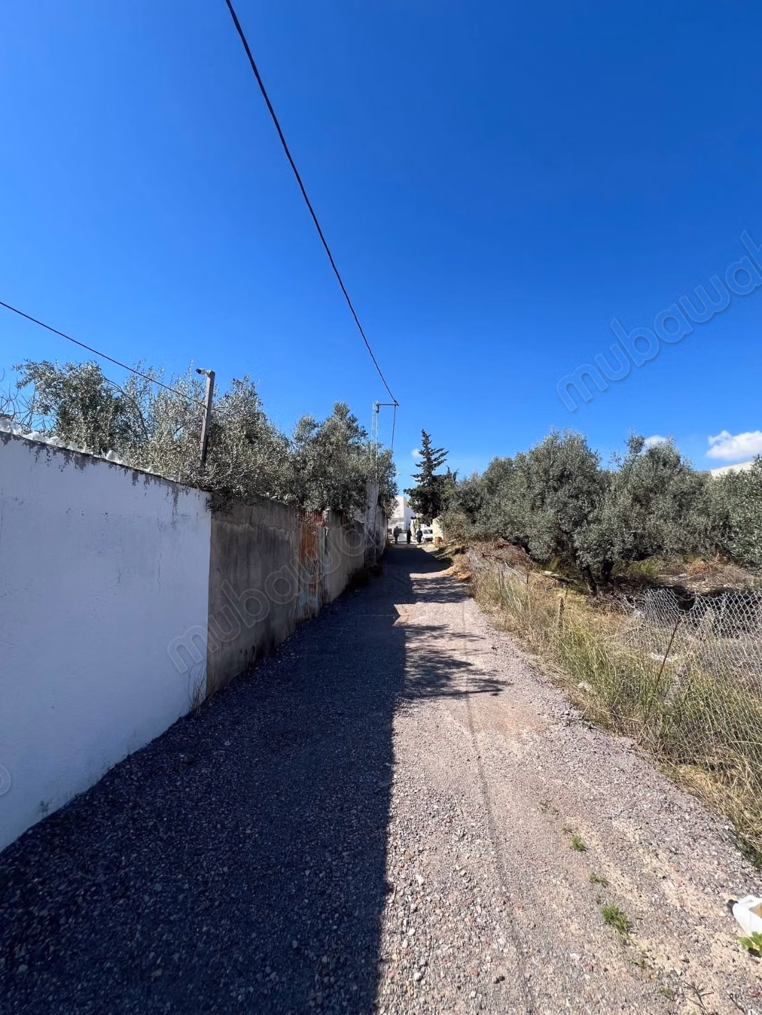 À VENDRE Propriété 2000 m' Mnihla ariana