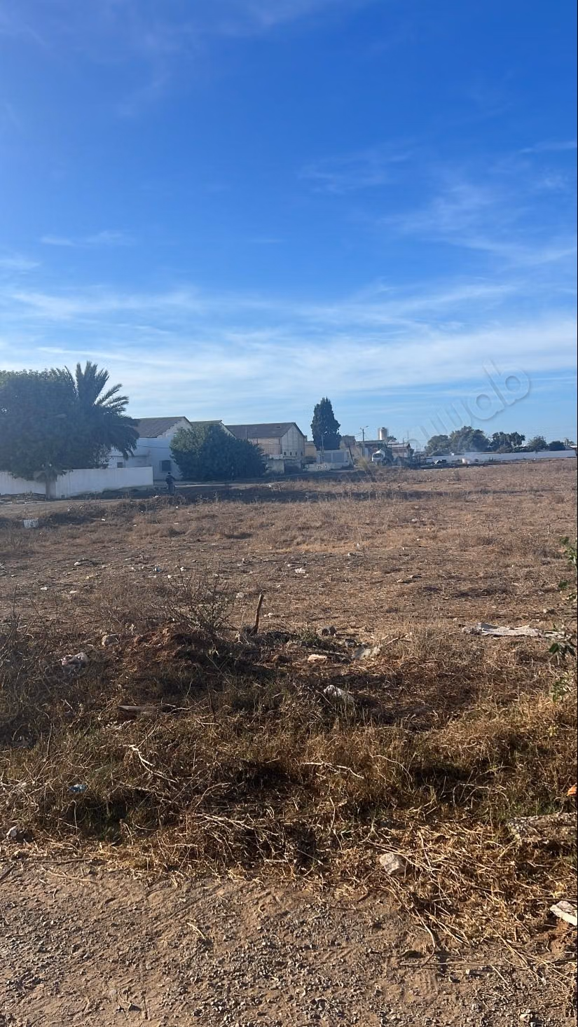 Land for sale in Assam. Area 9000 m²