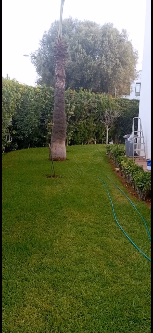 Villa 600m Hay Riad