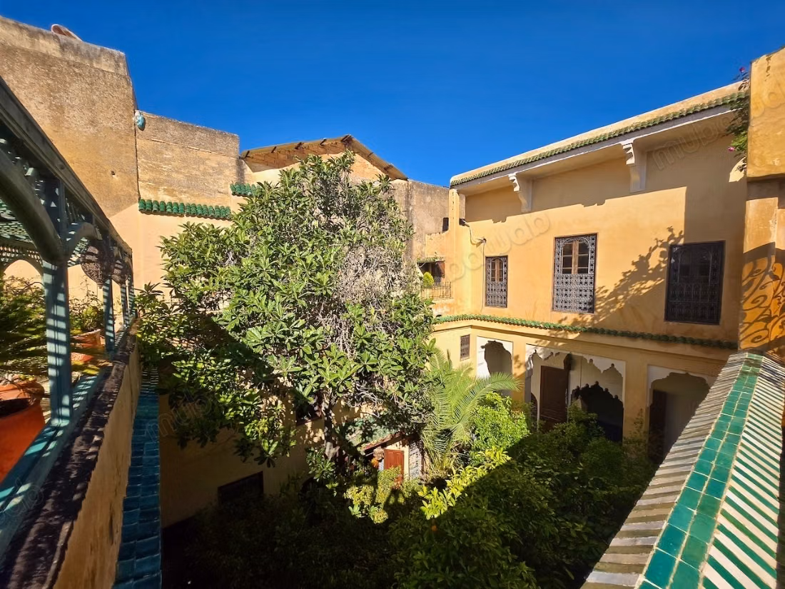 Charming riad with large landscaped patio