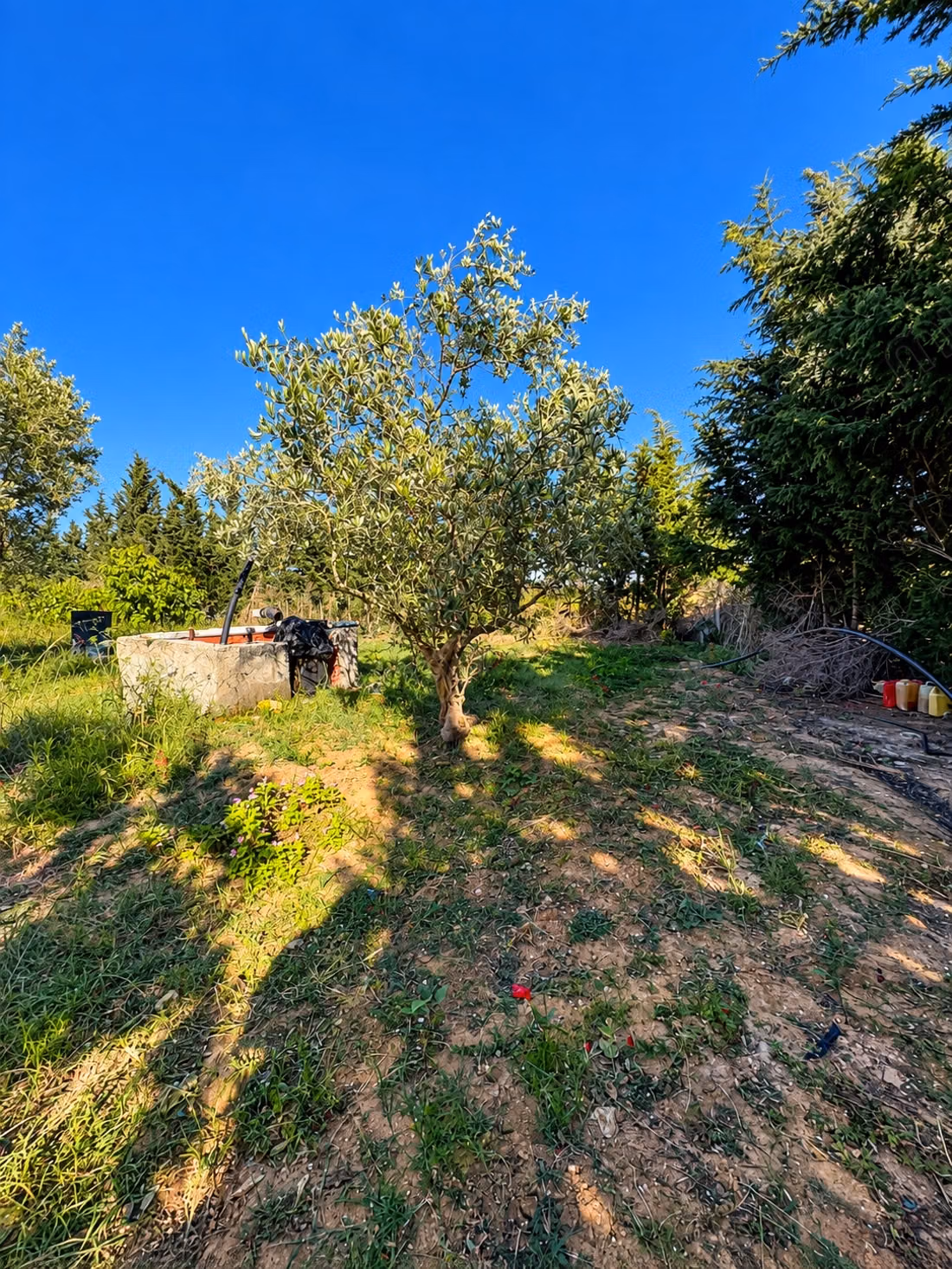 In vendita - terreno agricolo ad Azmour, Kélibia