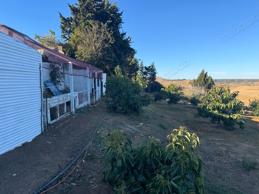 Terrain à vendre. Superficie de 11000 m²