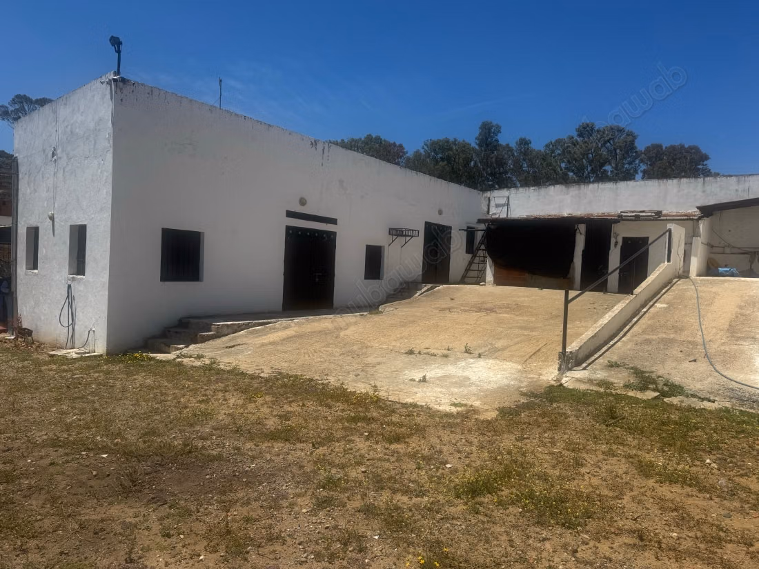 Terrain à vendre. Superficie de 11000 m²