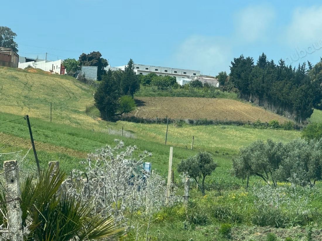 Terrain à vendre. Superficie de 11000 m²