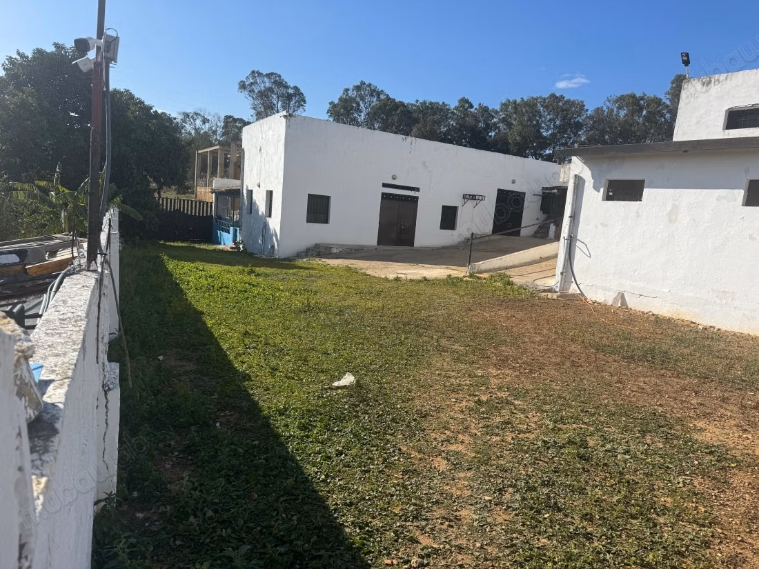Terrain à vendre. Superficie de 11000 m²