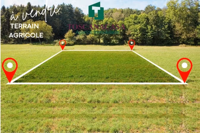 Terrain Agricole avec Titre Individuel – Saloum