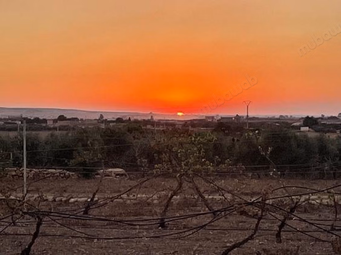 Ferme arboricole bio 6 ha, titrée – Khouribga