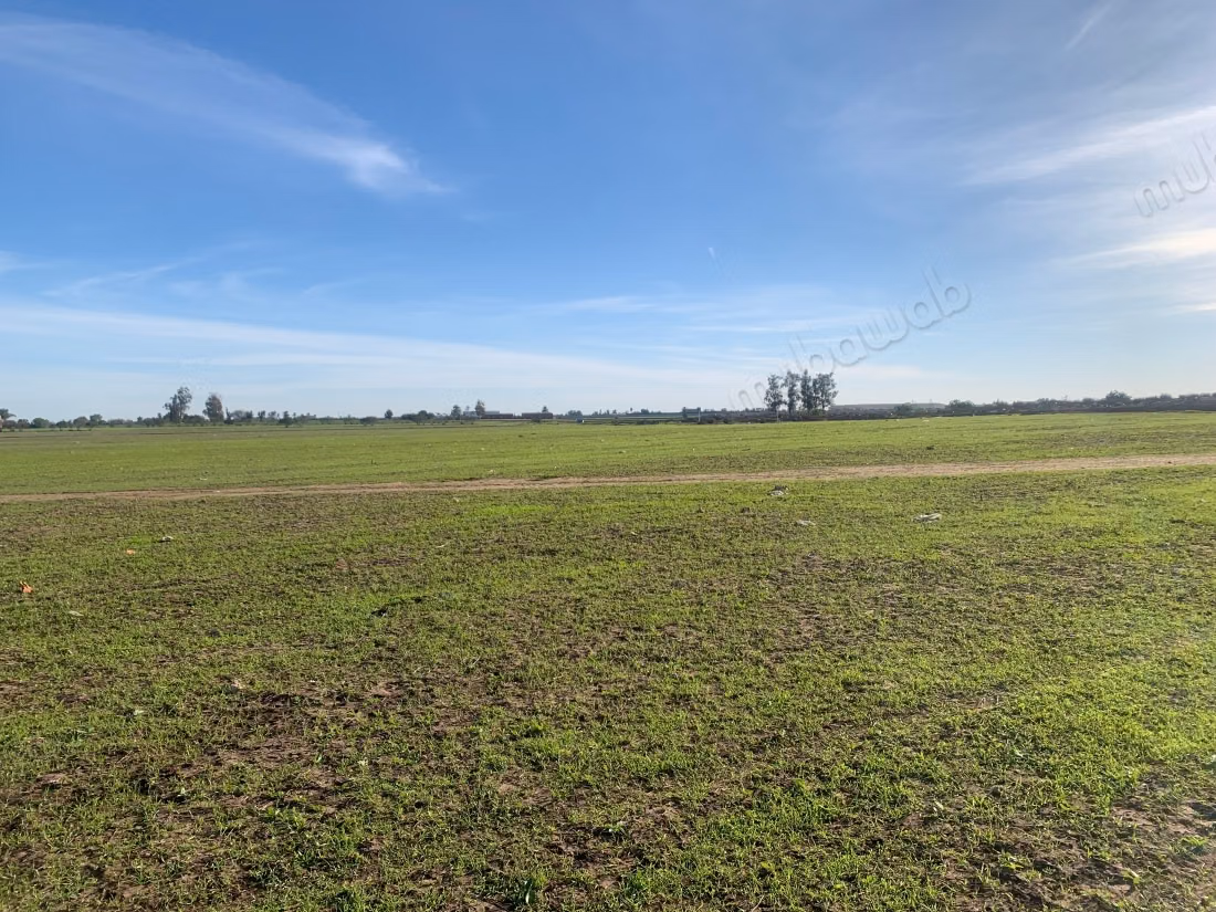 Terreno en Médiouna C3. Superficie 110,000 m²