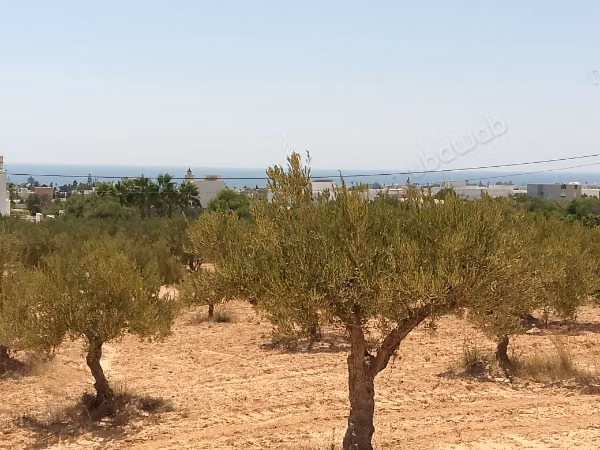 À vendre un terrain à cité Diamant Hammamet Nord