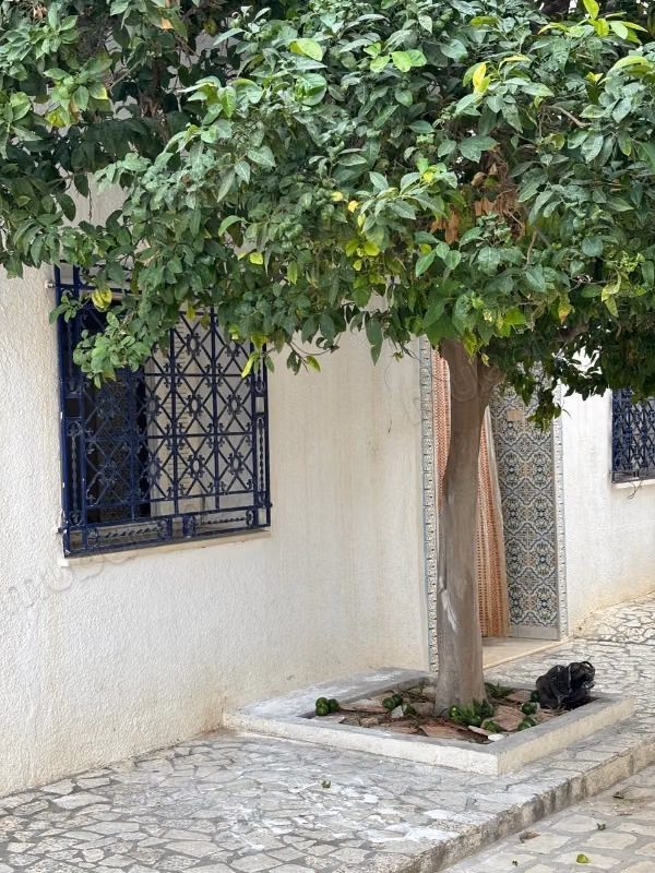 For sale an Arabic house S7 in Dar Chabaane Nabeul