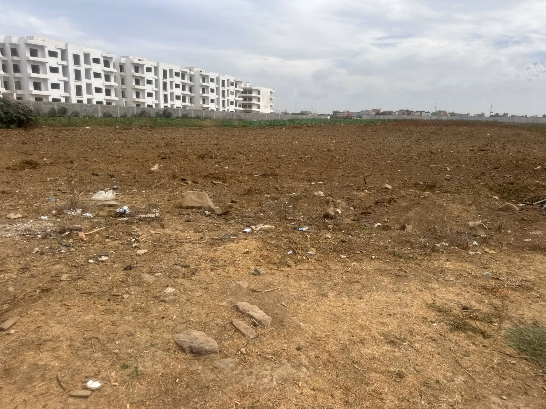 Vente de terrain à El Mansouria. 
Surface totale 20000 m²
