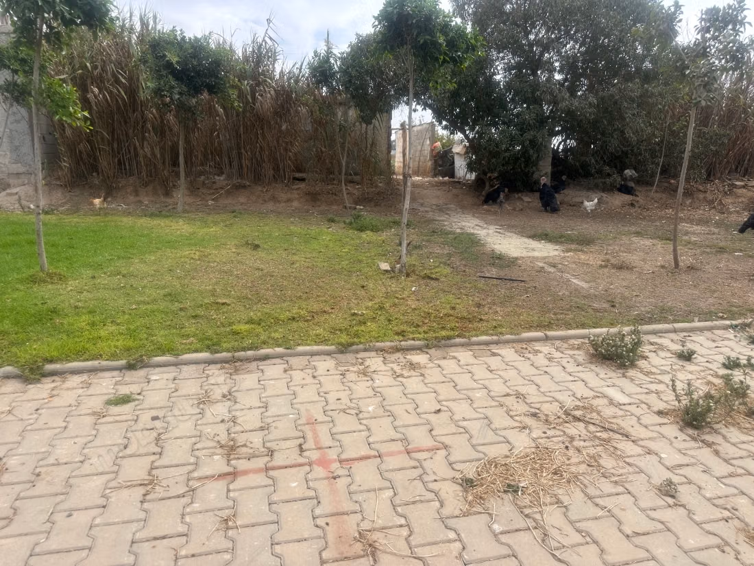 Vente de terrain à El Mansouria. 
Surface totale 20000 m²