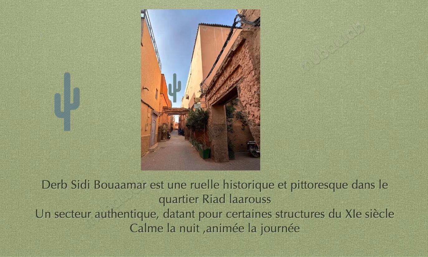 Riad Guest House 6 Suites Pool Rooftop