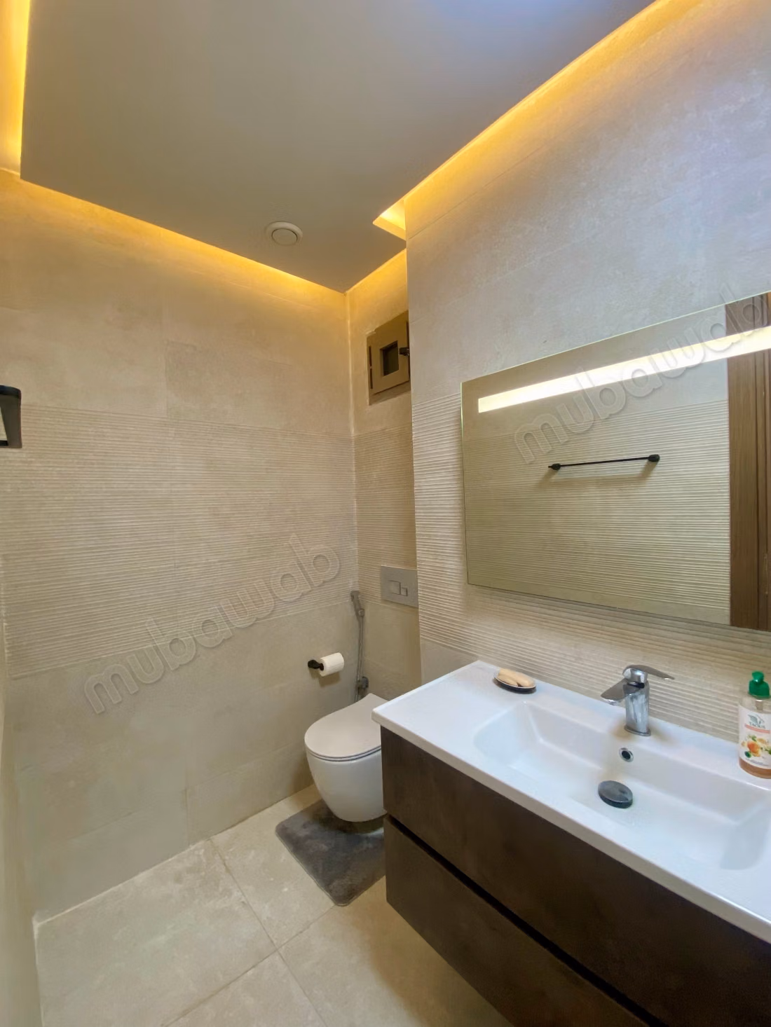 Magnificent turnkey apartment for sale in El Menzeh