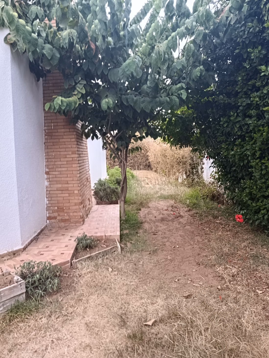 House for sale - Hay Riad