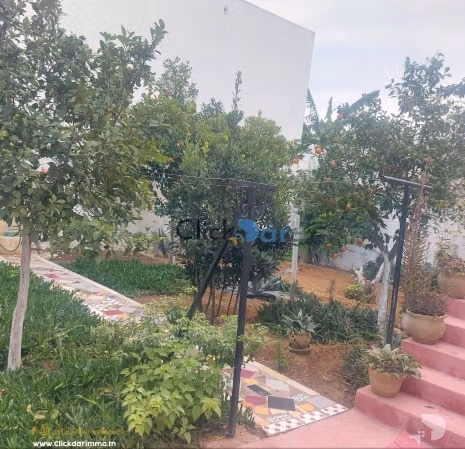 S2 abri jardin location annuelle Hammamet