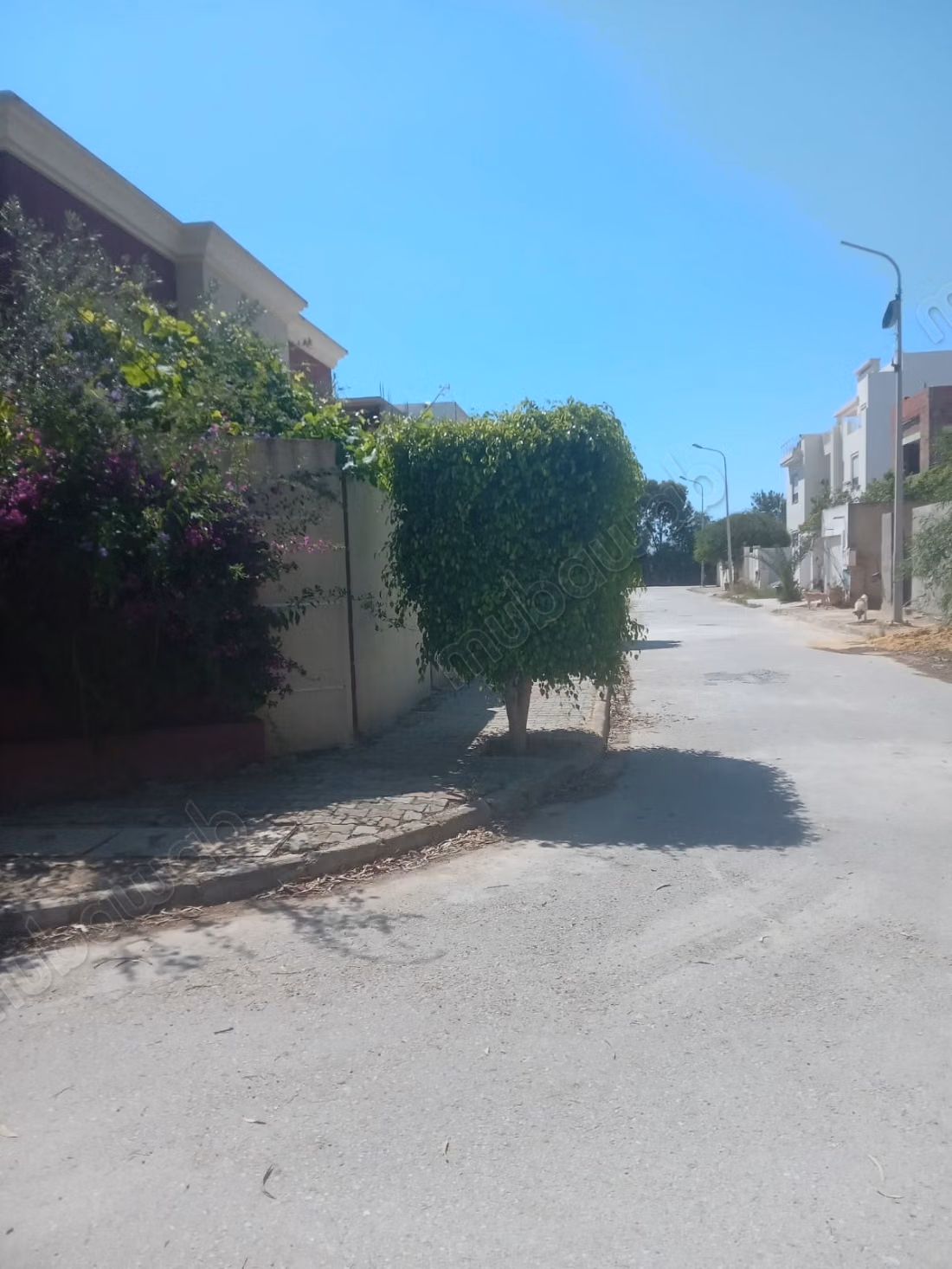 Terrain en vente à Raoued Plage. 
Superficie 317 m²