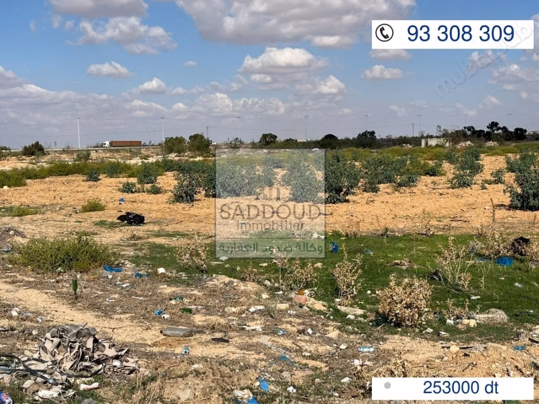 Terreno in vendita - strada dell'aeroporto km 9
