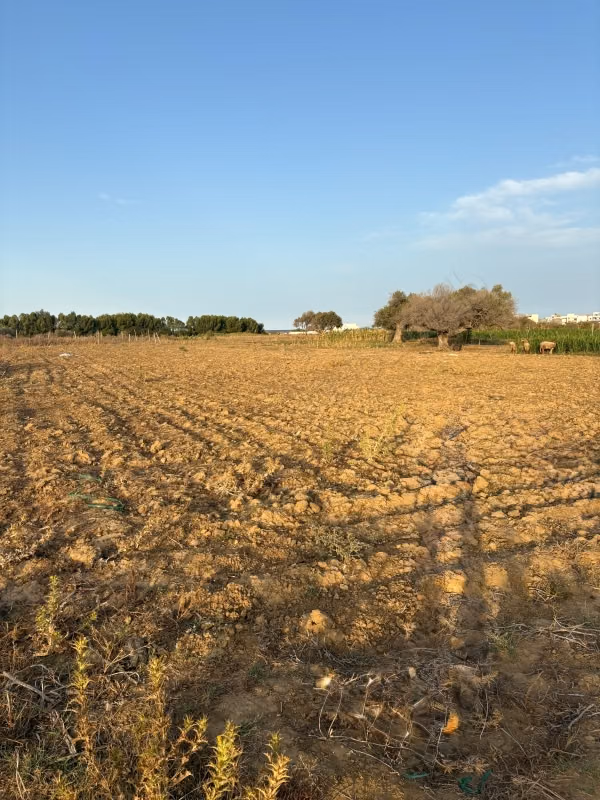 Terrain à vendre. Surface totale 2600 m²