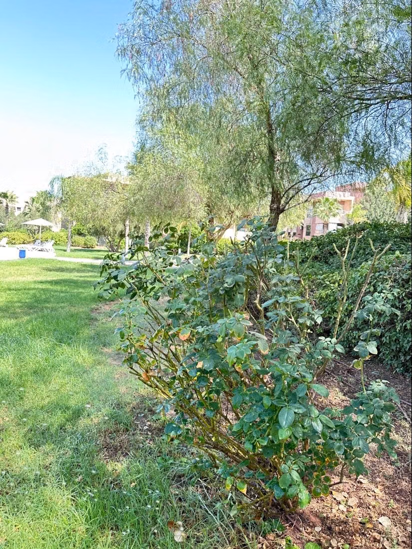 Apartment for sale in Pristegia