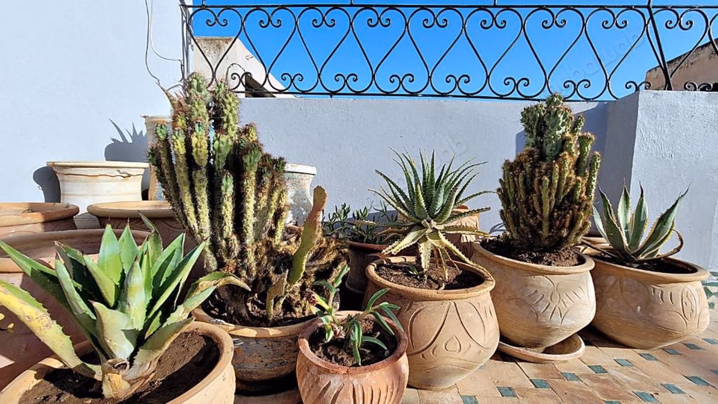 Authentic Riad for Sale in the Heart of the Medina of Fes
