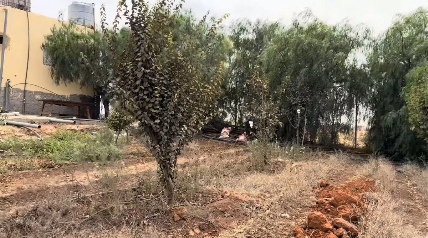 Prachtige geregistreerde boerderij te koop nabij Benslimane