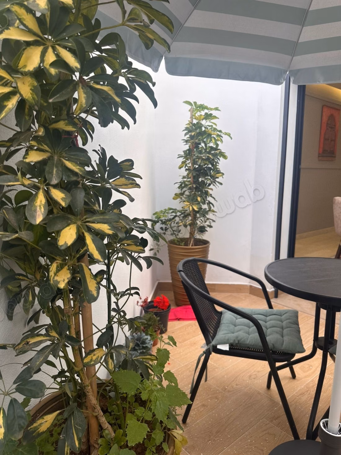 Coquet appartement 1 chambre