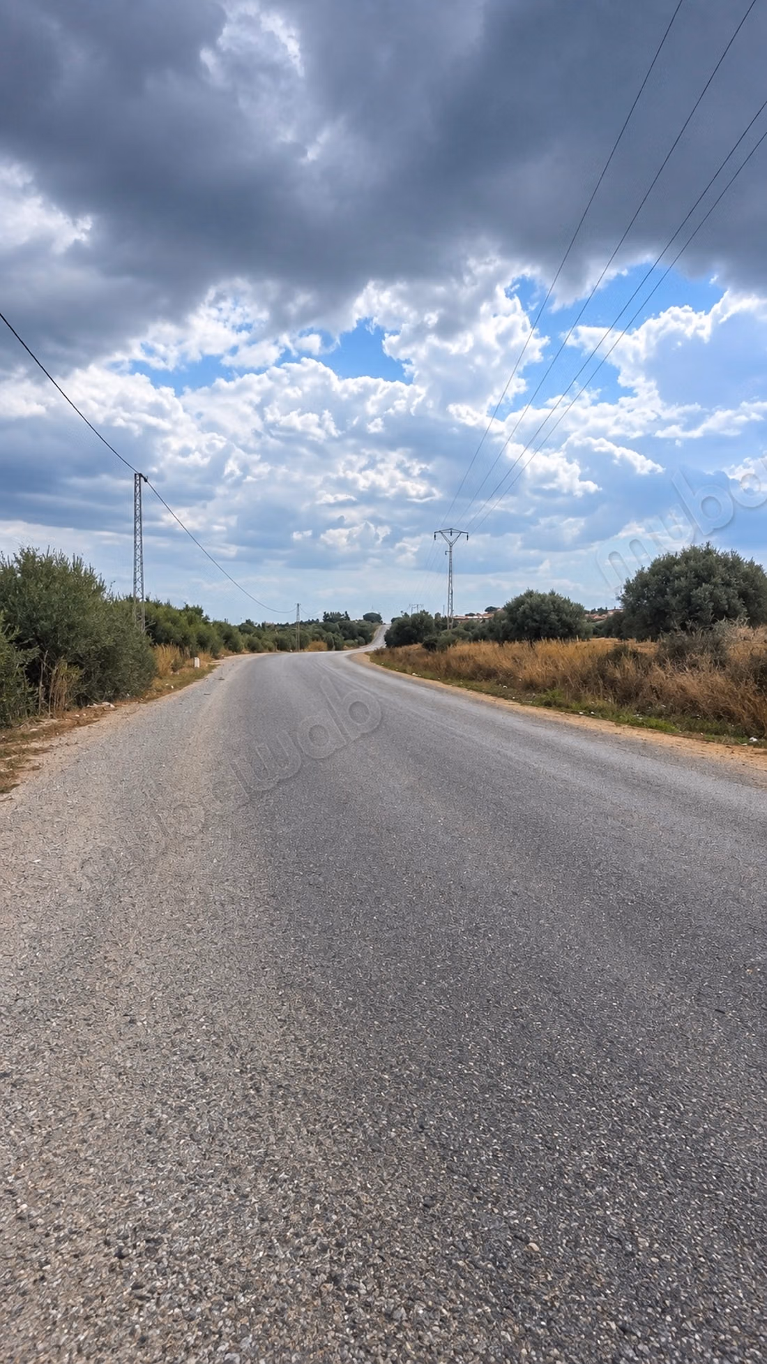 Ferme agréable à vendre à Nabeul. Superficie 16000 m²
