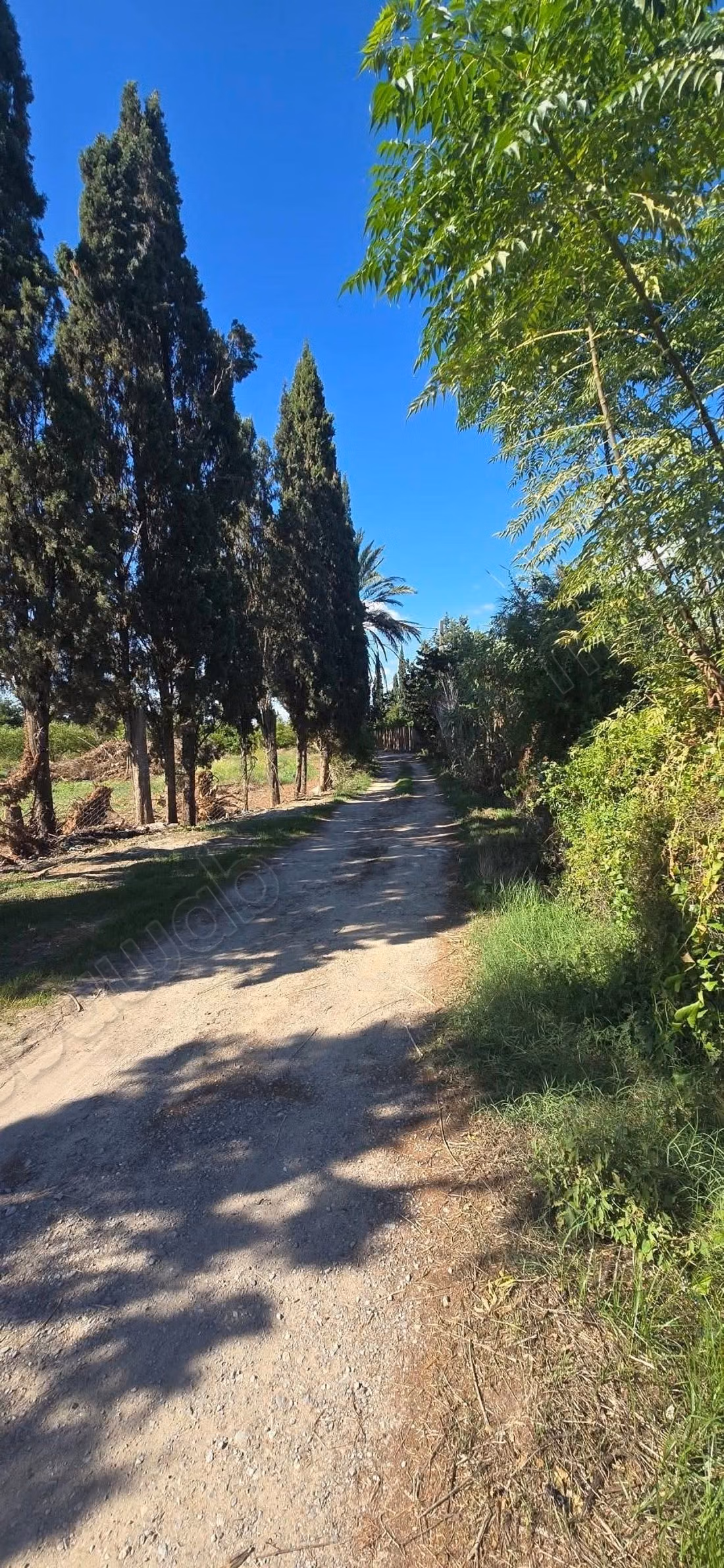 Jolie ferme à vendre. Superficie 20000 m². Sécurisé 24/24