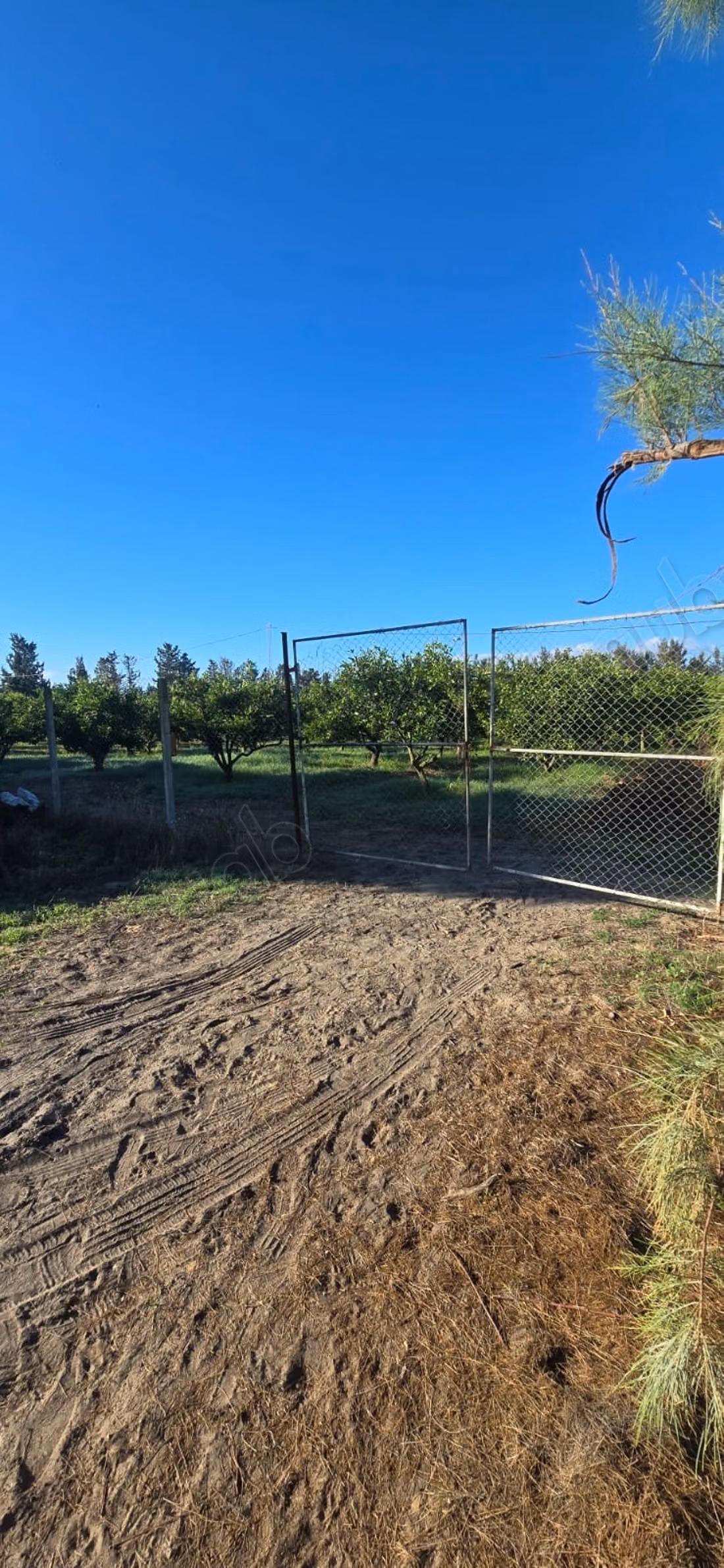 Ferme à vendre. Surface de 12500 m²