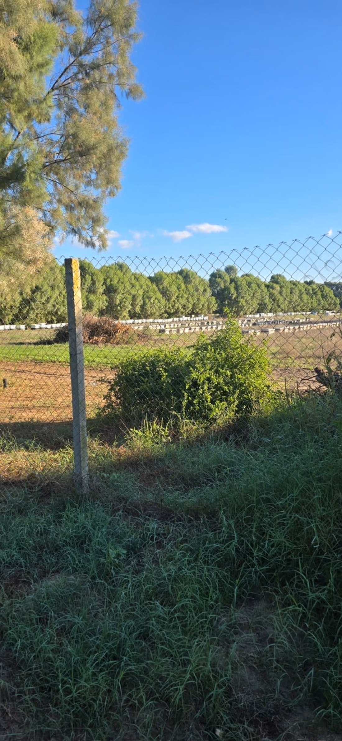Ferme à vendre. Surface de 12500 m²