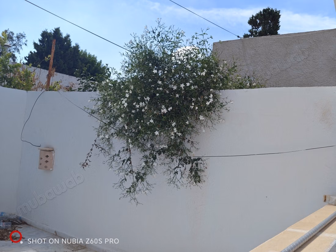 Propriété à louer 120m². Bien meublé