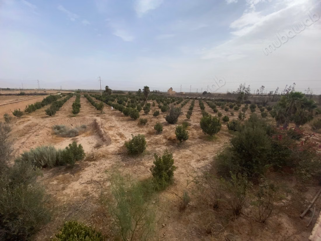 Vente Riad de prestige à rénover à 70km d'Agadir