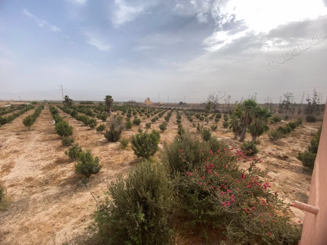 Vente Riad de prestige à rénover à 70km d'Agadir