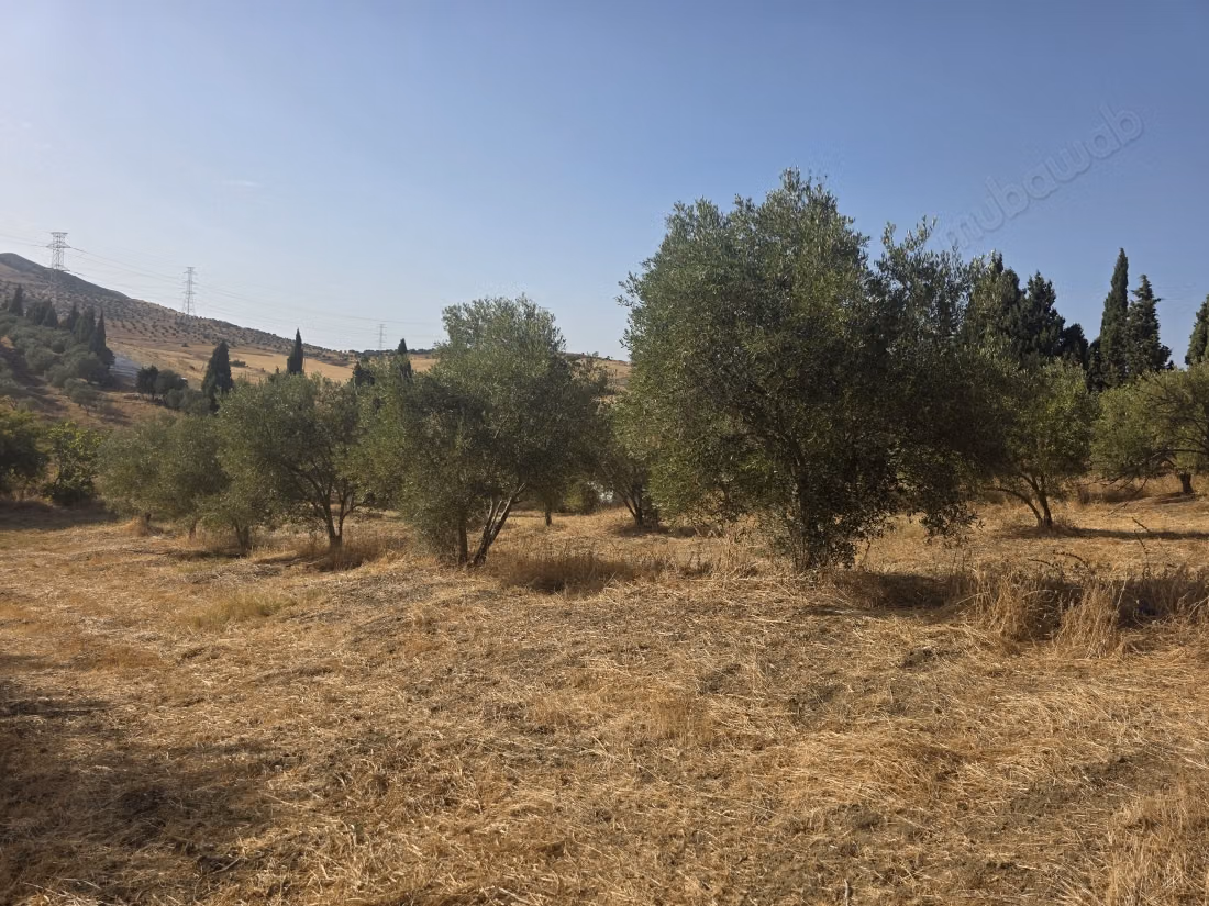 Ferme à vendre à Dar Chaoui. Surface totale 6600 m²