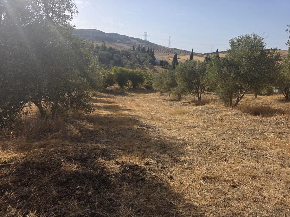 Ferme à vendre à Dar Chaoui. Surface totale 6600 m²