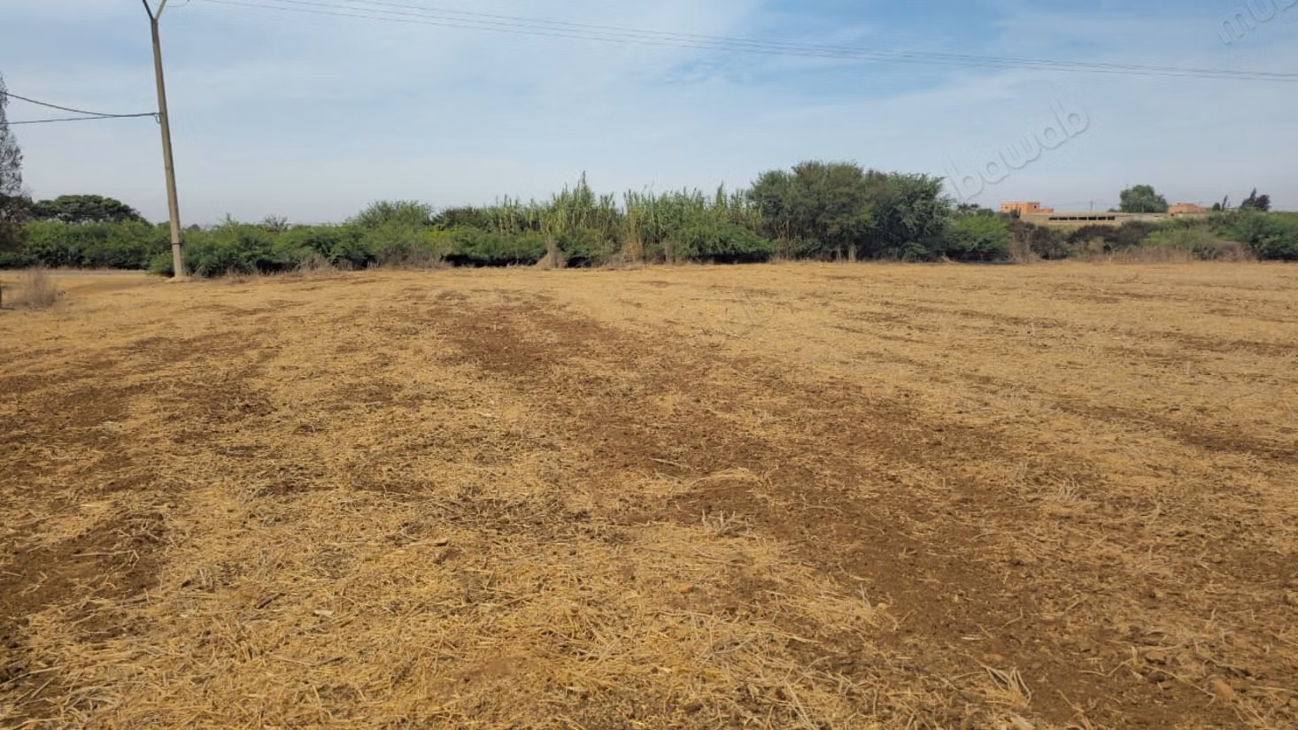 Terrain agricole titré 47 hectare 
Benslimane