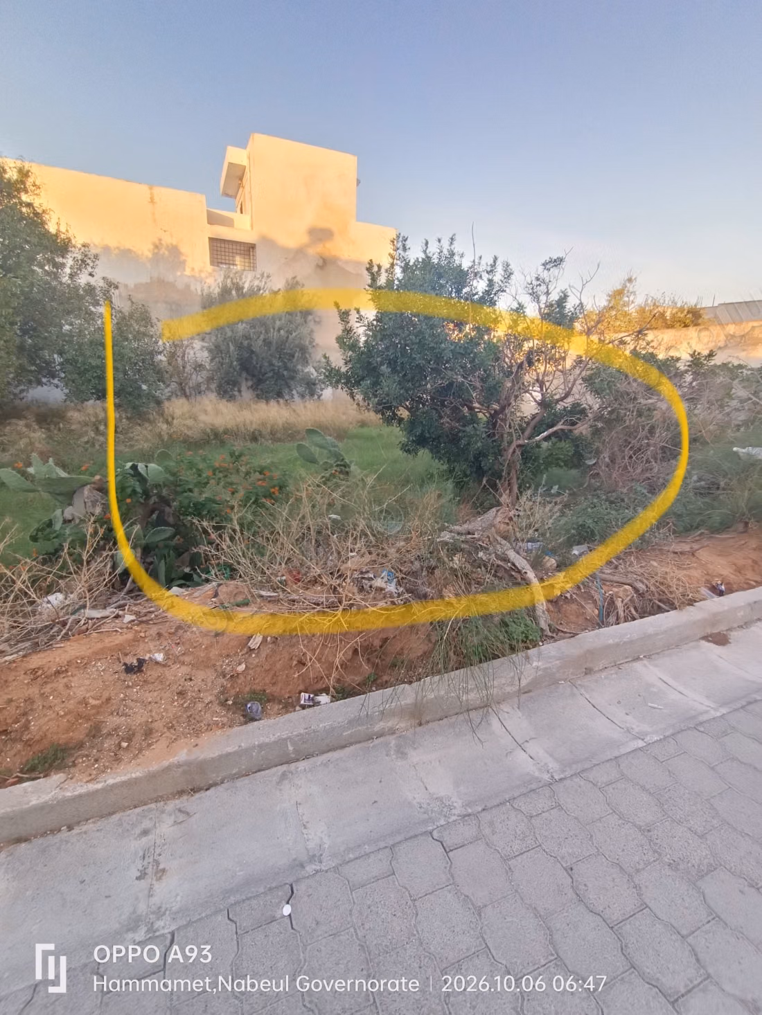 Achat de terrain à Hammamet Nord. 
Surface totale 490 m²