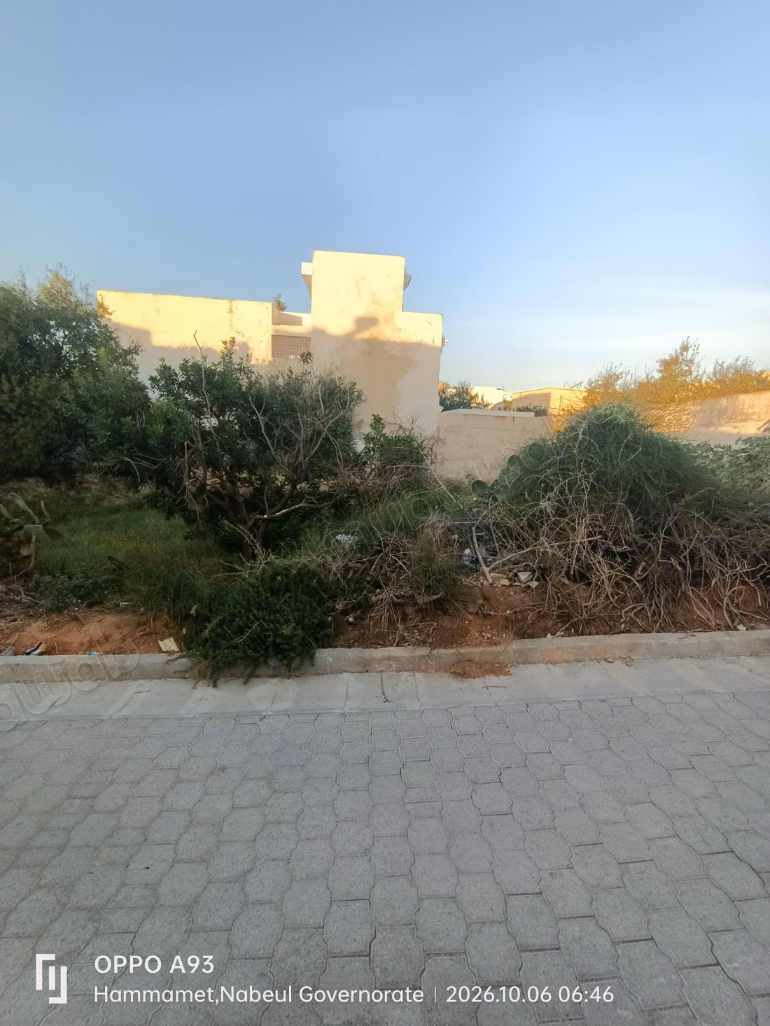 Achat de terrain à Hammamet Nord. 
Surface totale 490 m²