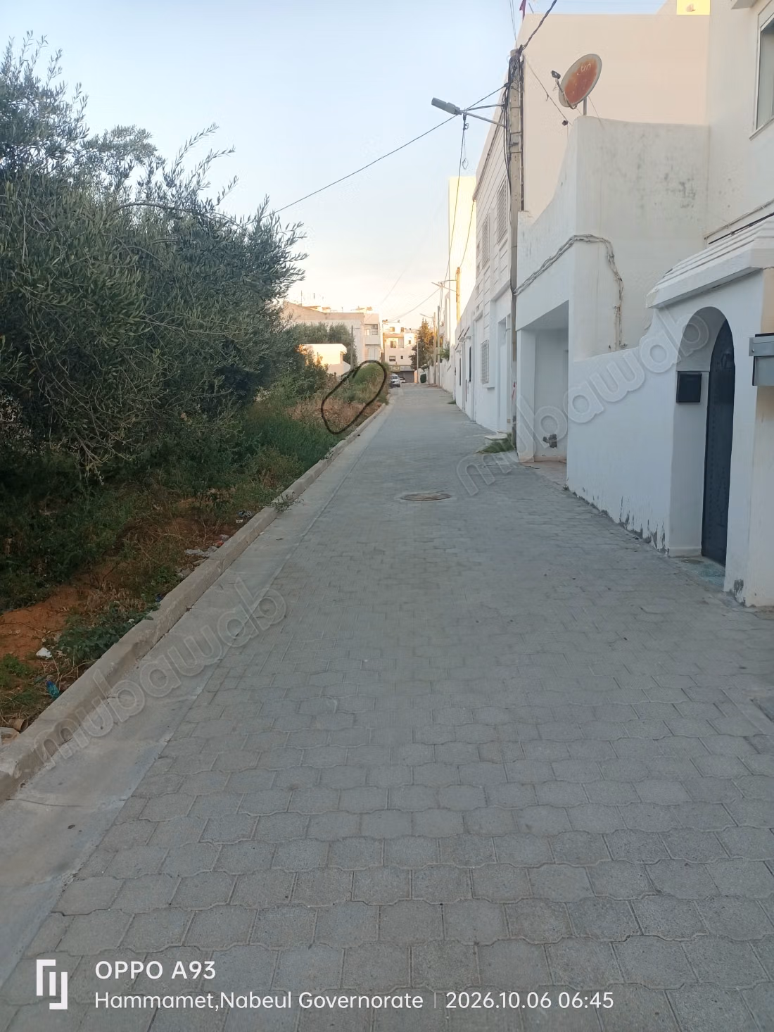 Achat de terrain à Hammamet Nord. 
Surface totale 490 m²