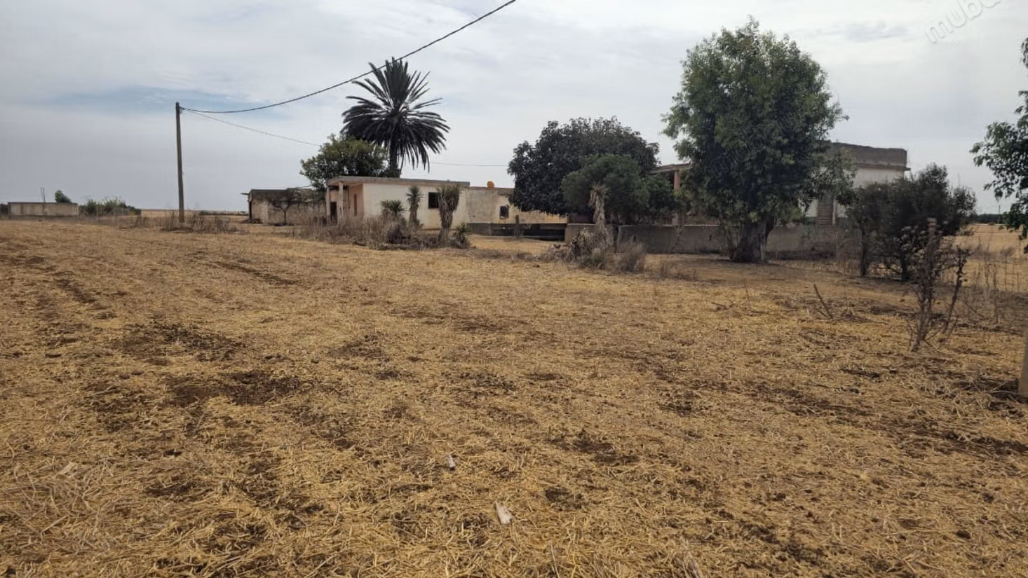 Ferme à vendre idéalement située 37 000 m²
