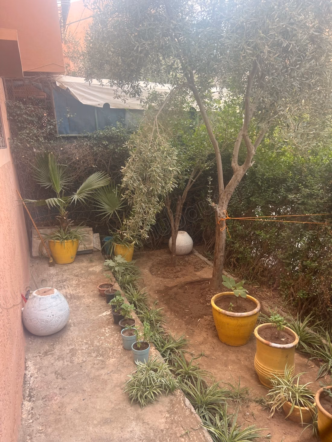House for sale in Mhamid