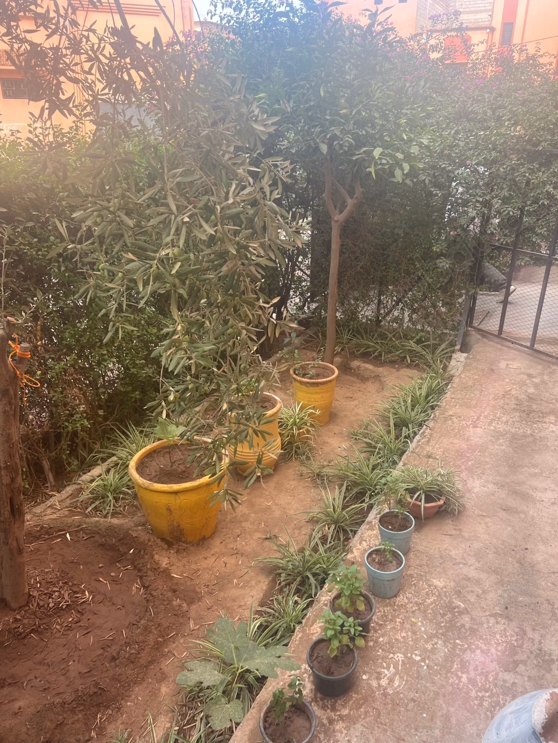 House for sale in Mhamid