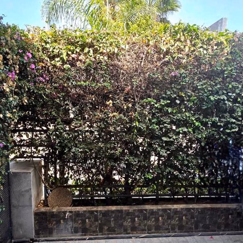 Villa for Sale of 426.0 m² in Bouskoura, Bouskoura