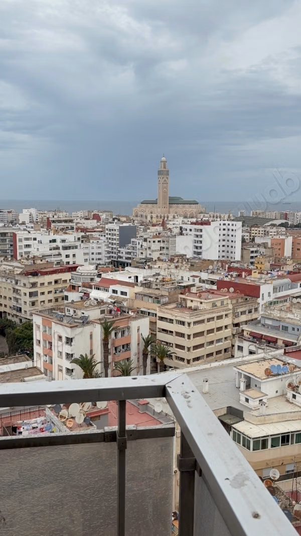 Très bel appartement en location à Lusitania. 
1 Pièce. Ascenseur et terrasse