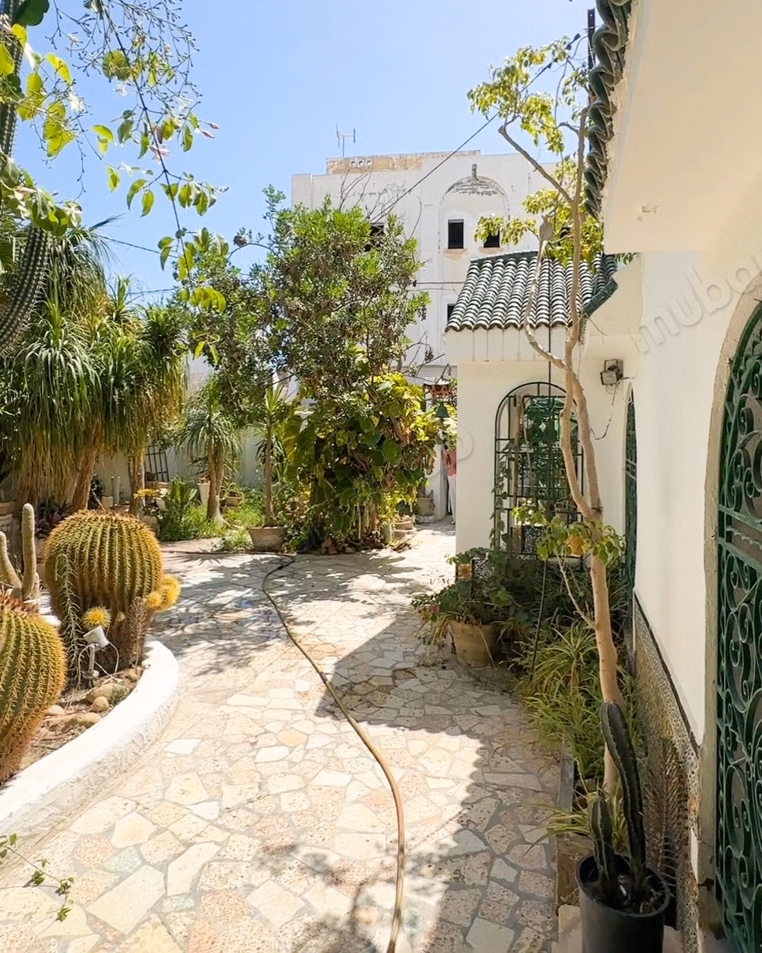 A vendre maison arabe andalo à Hammamet Nord
