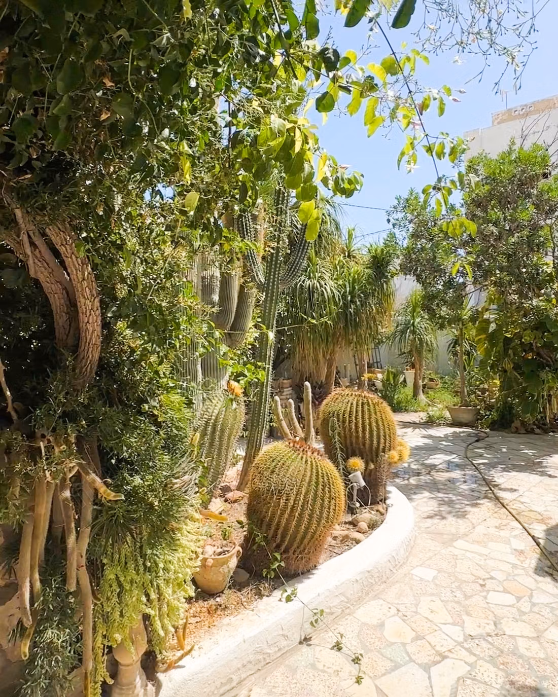 A vendre maison arabe andalo à Hammamet Nord